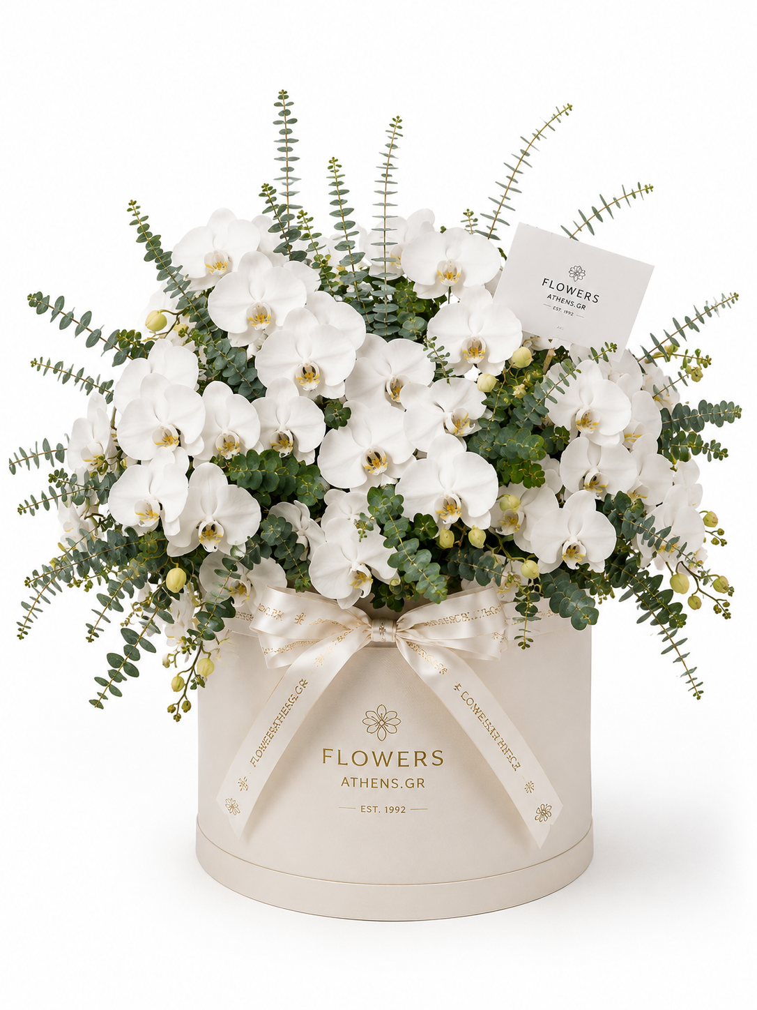 Λευκή Ευγένεια | Σύνθεση Ορχιδέων σε Κουτί FlowersAthens