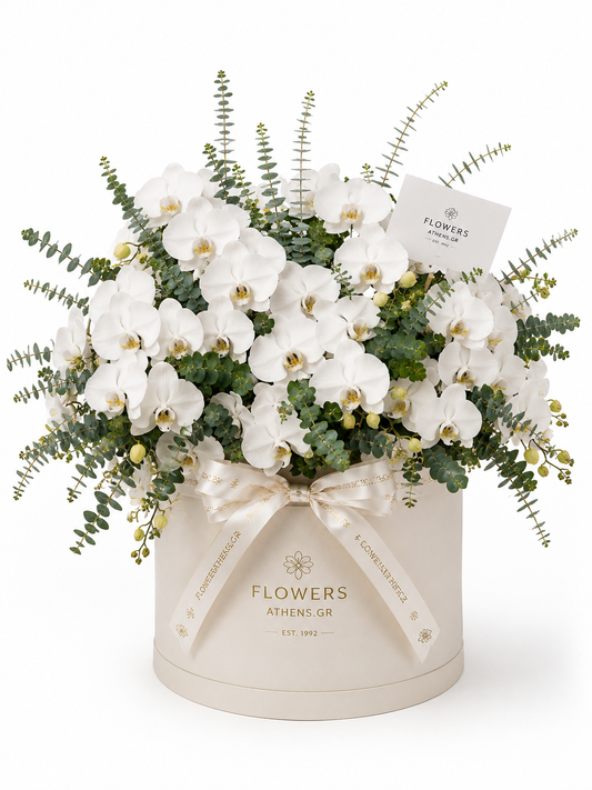 Λευκή Ευγένεια | Σύνθεση Ορχιδέων σε Κουτί FlowersAthens